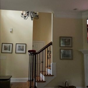 Meet your Posher, Tracy